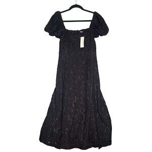 Francesca's Collections Black Lace Maxi Dress